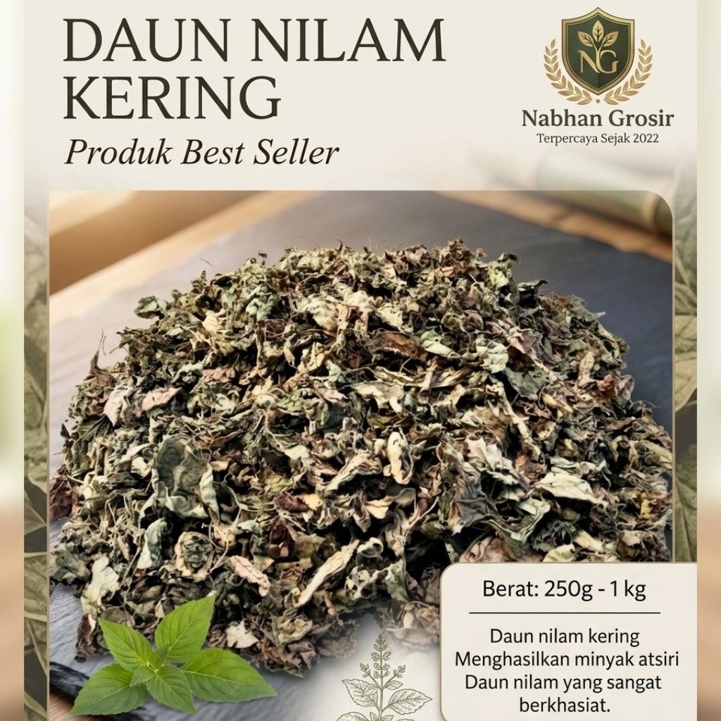 1 KG DAUN NILAM KERING BAHAN MINYAK ATSIRI