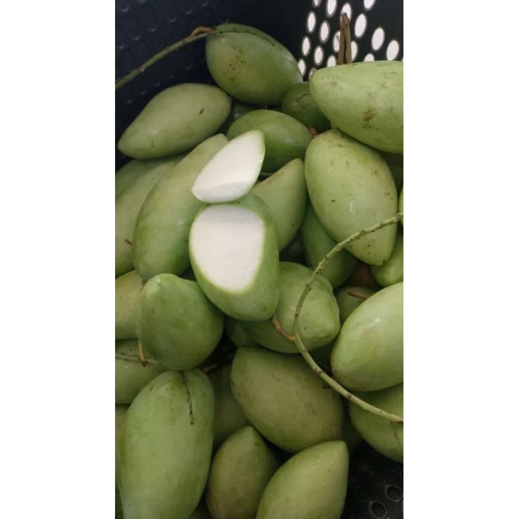 Mangga Muda /  Rujak buah Fresh / Mangga rujak