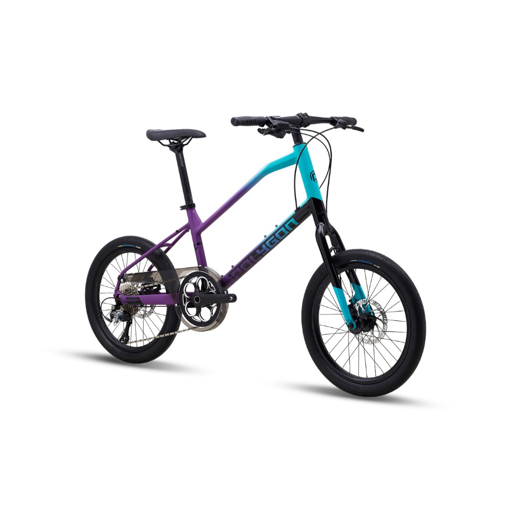 SEPEDA POLYGON MTB 20 ZETA 2