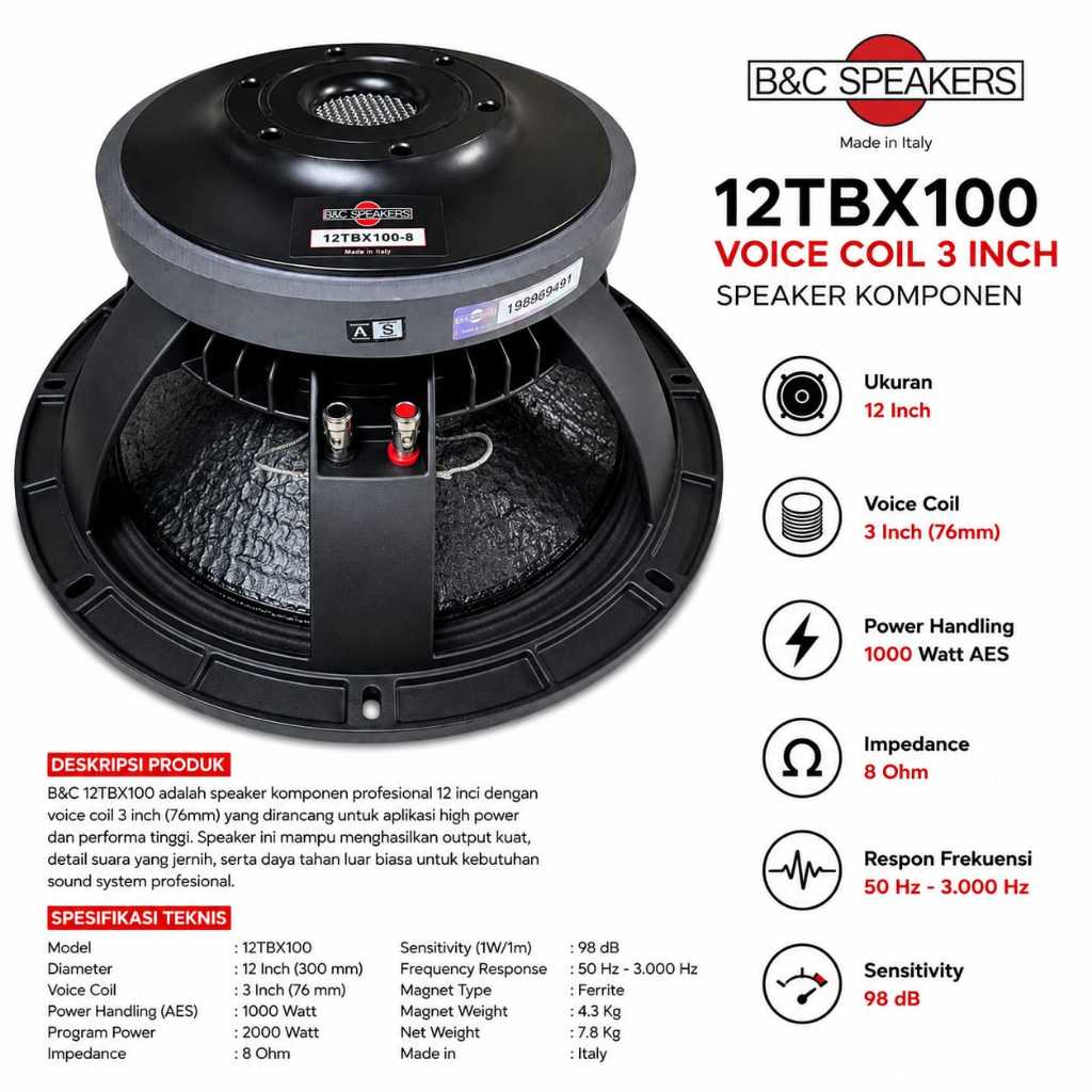 Speaker Komponen B&C 12TBX100/12 TBX100 12 INCH
