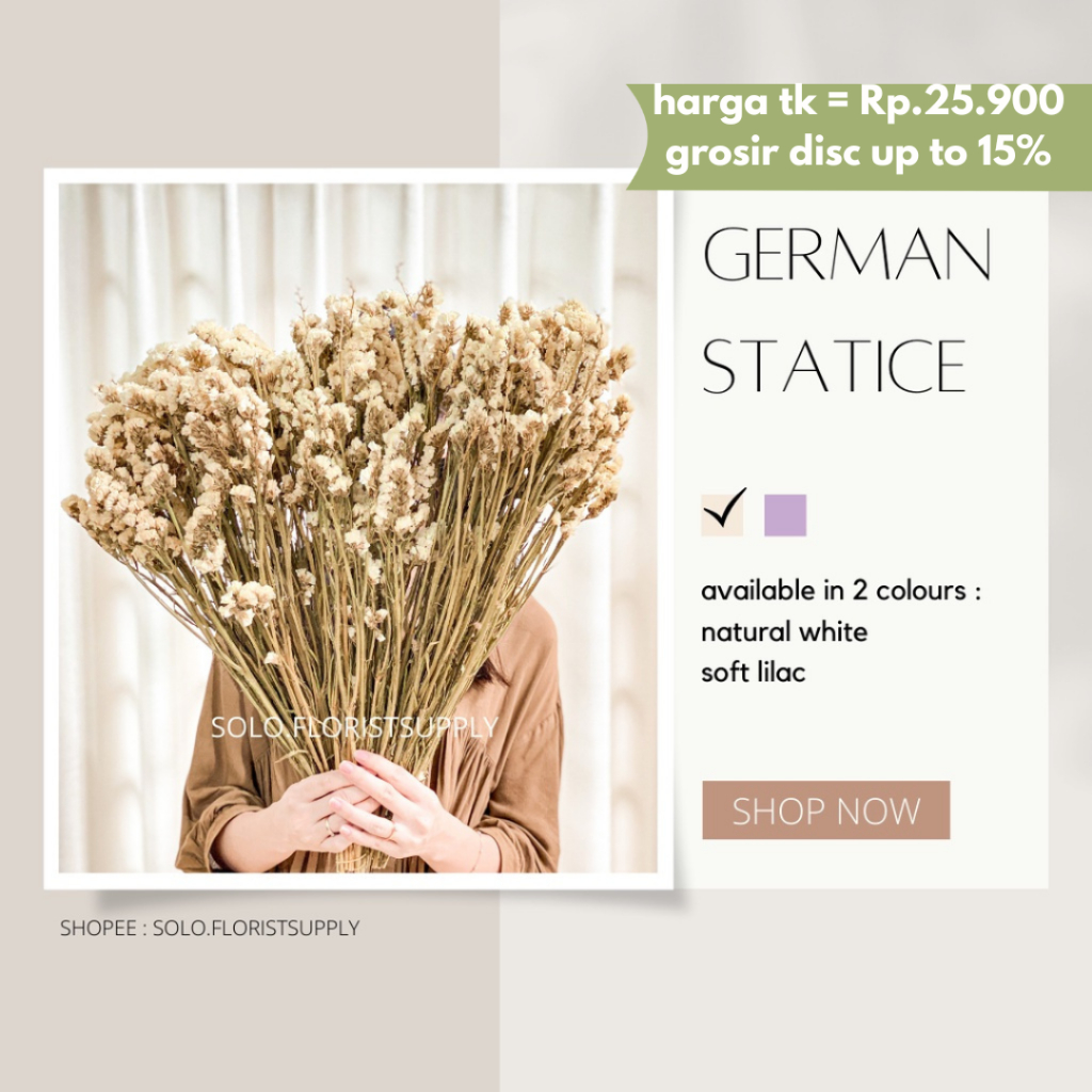 TR [TERMURAH] GERMAN STATICE Dried Flowers bunga Kering asli white Cream dekor kantor Hiasan Ruangan