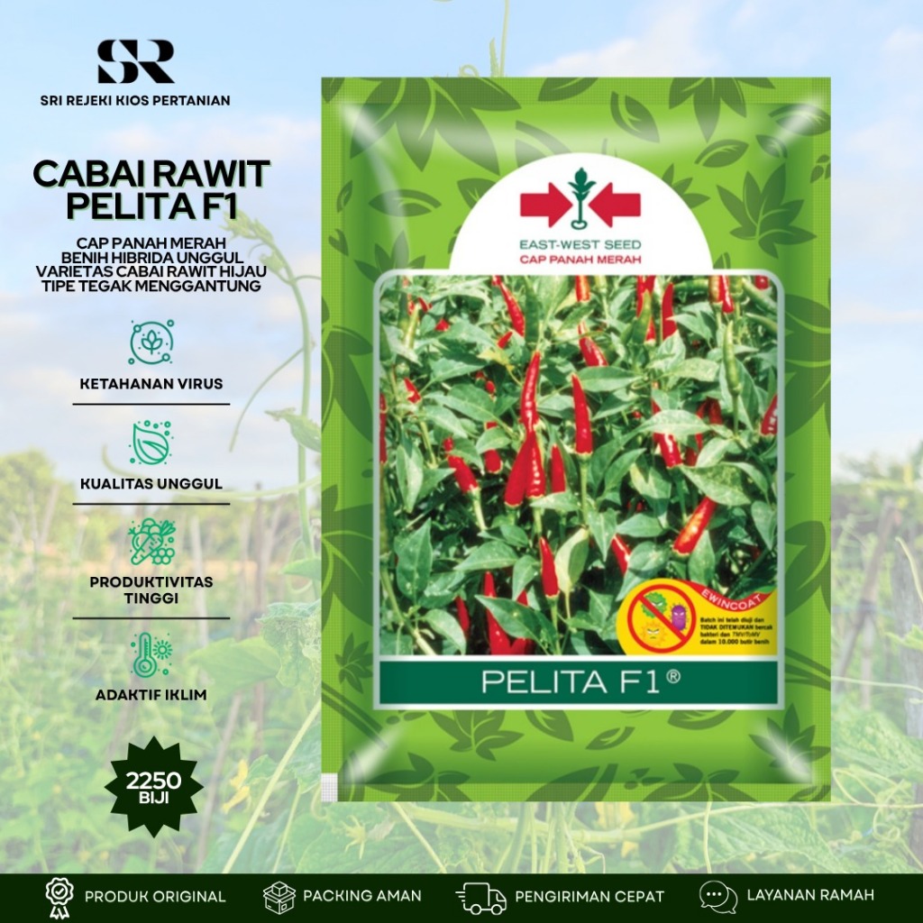 Benih Cabai rawit hybrida PELITA F1  kemasan 2250 Butir 100% original cap panah merah