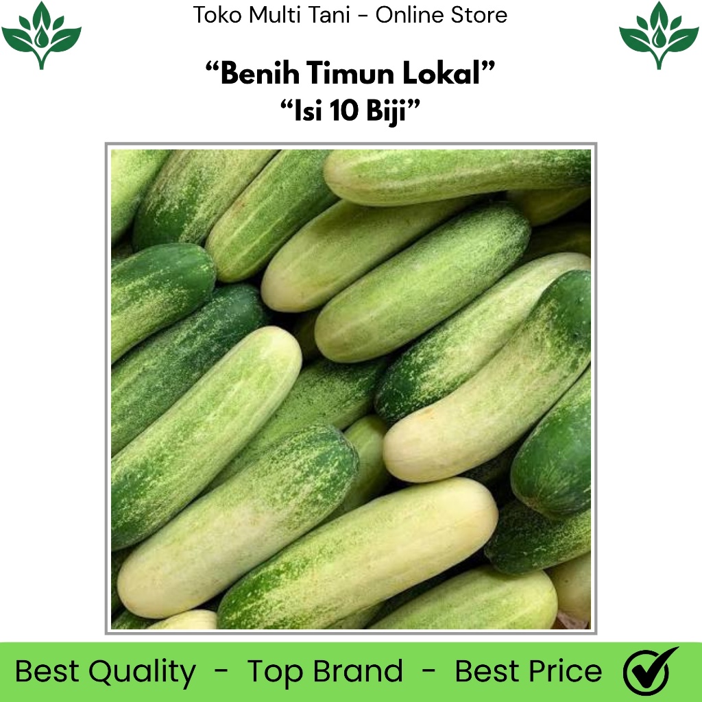 Benih Timun Lokal Isi 10 Biji - Benih Timun Lalap - Benih Timun Lokal Besar - Benih Timun Lalap Hija