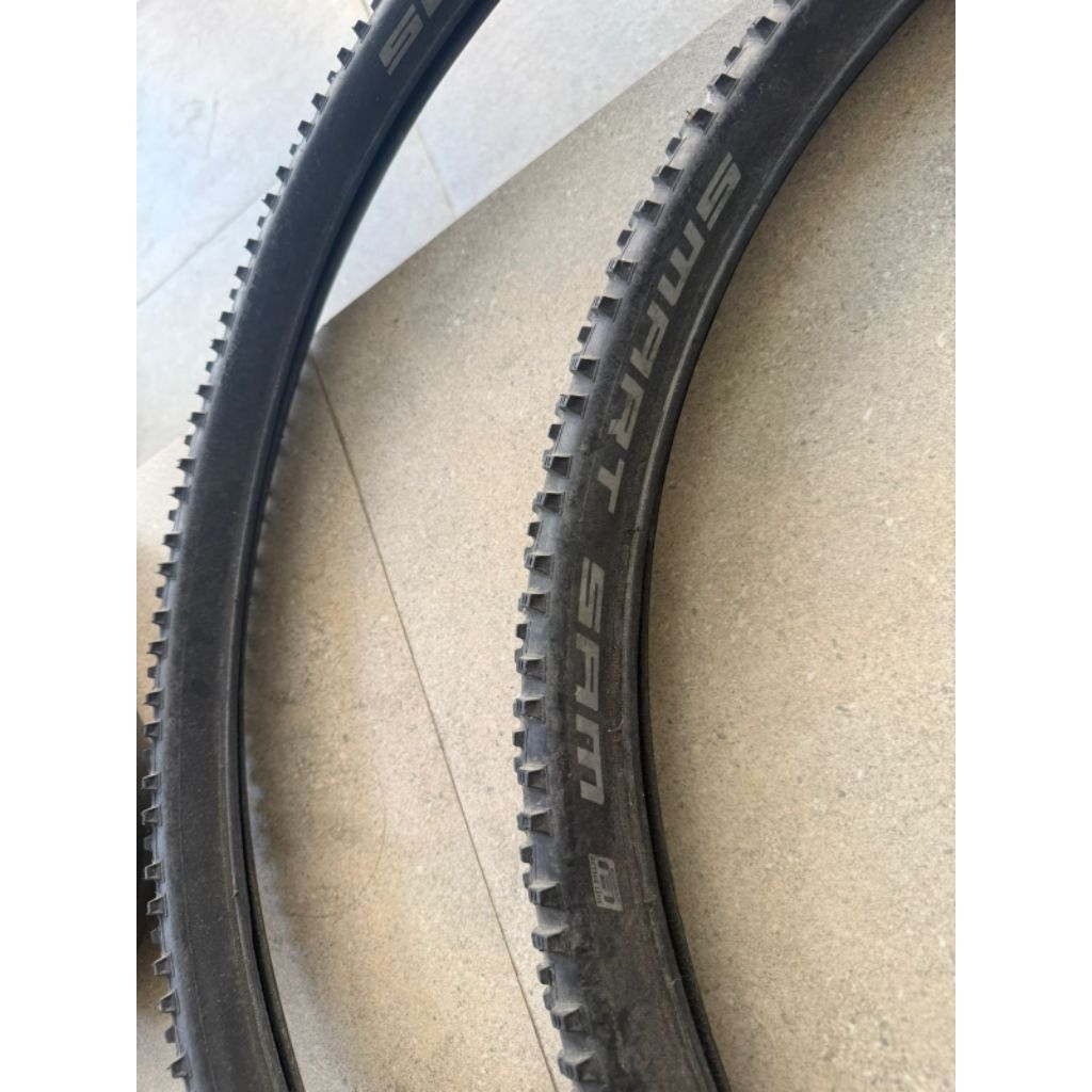 ban luar schwalbe smart sam