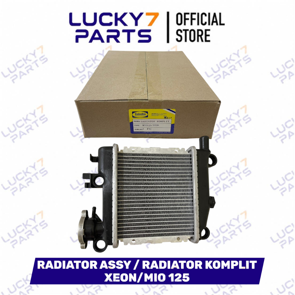 RADIATOR ASSY / RADIATOR KOMPLIT MOTOR XEON/MIO 125 1PN-E2460-00 (TAKEHO)