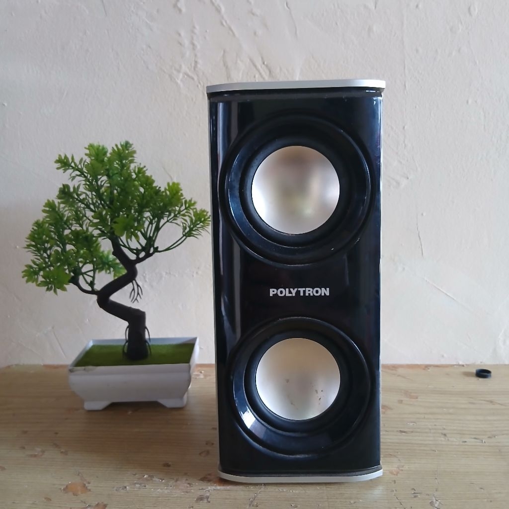 speaker subwoofer polytron pasif