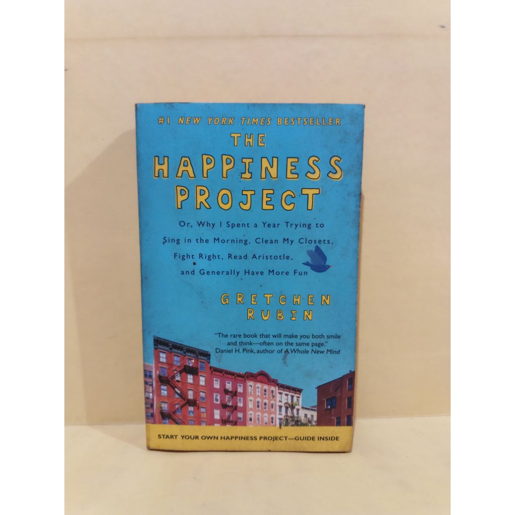 The happiness project