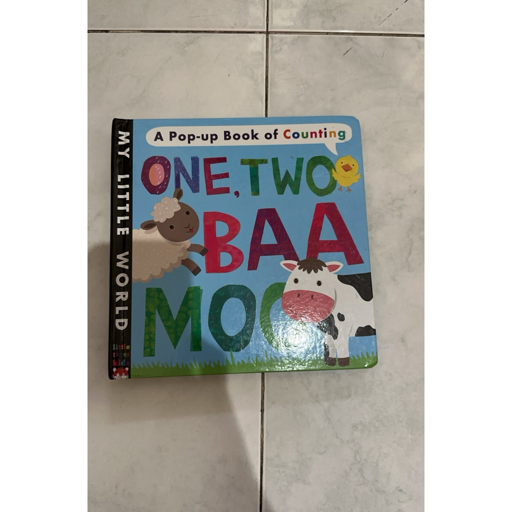 Buku Anak Pop Up BBW