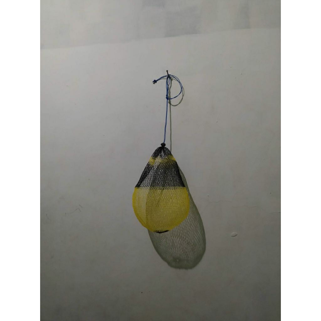 waring kasang koja ikan nilem masher brek