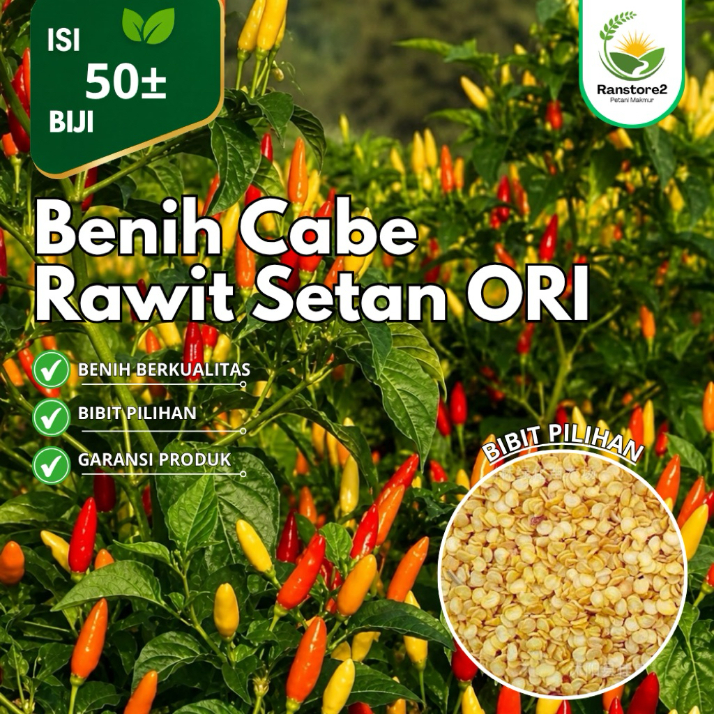 (isi 50±) Biji Benih Cabe Rawit Setan Ori Bibit Cabe Rawit Ori pilihan
