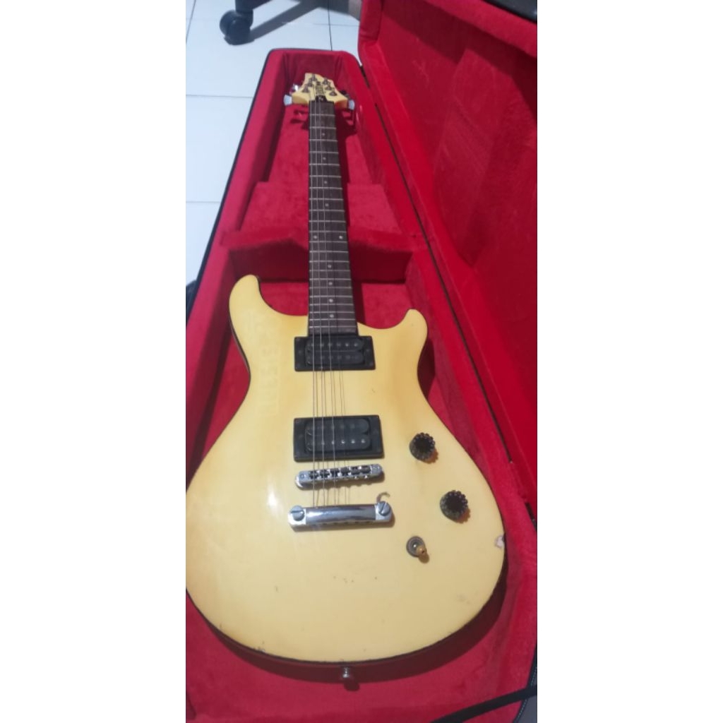 radix guitar