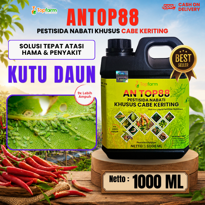 Obat Hama Kutu Daun Cabe Merah Keriting / Obat Pembasmi Hama Kutu Daun / Obat Kutu Hijau / Obat Kutu