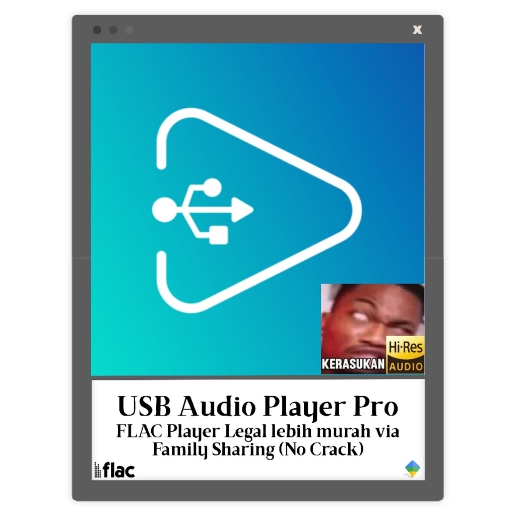 [BACA DESKRIPSI] USB Audio Player PRO (UAPP) Original - Resmi Play Store (Via Family Sharing)