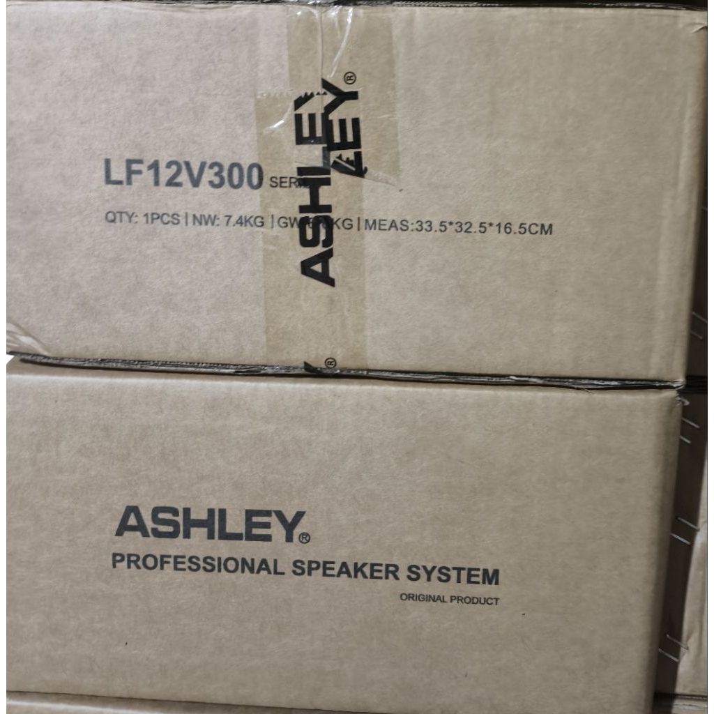 Speaker Ashley 12V300