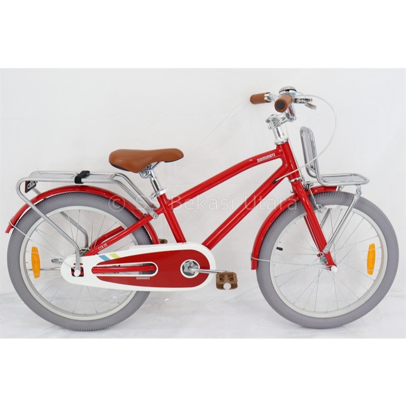 Dominate CT-B Sepeda Anak 20 Frame Alloy