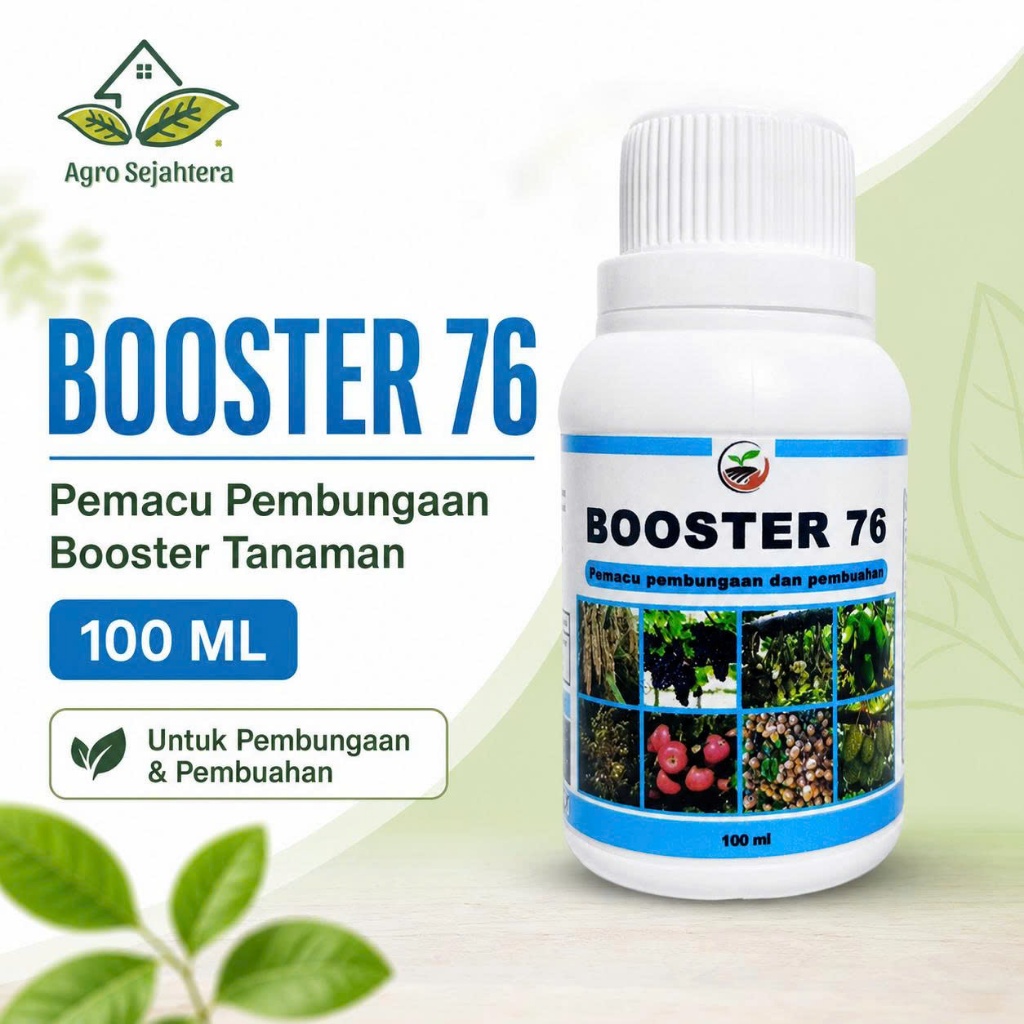 Booster 76 Hormon Tanaman Pembungaan Pembuahan Perangsang Bunga Pelebat Buah Pupuk Bunga Buah Cabai 