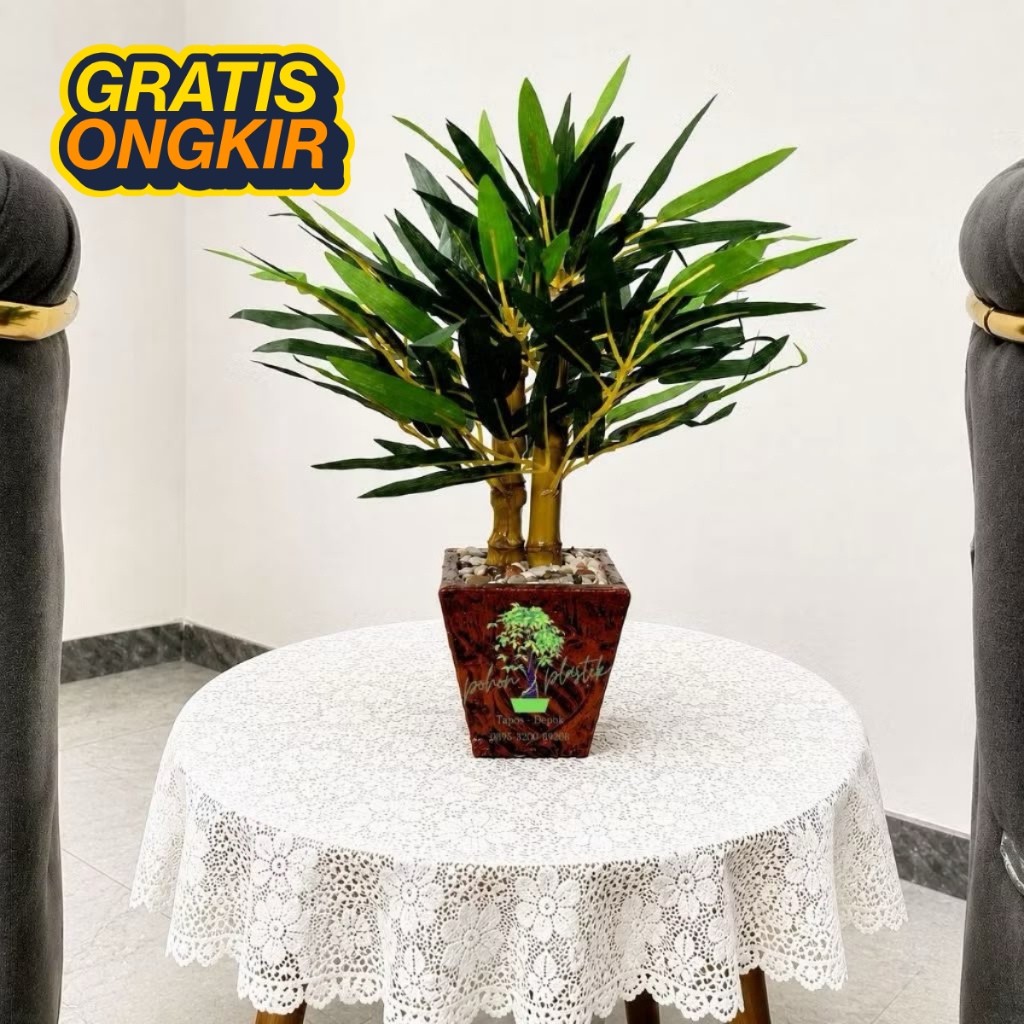 Pohon Bambu 30cm Batang Cendani Asli Hiasan Meja Minimalis Dekorasi Sudut Ruangan Aestetik