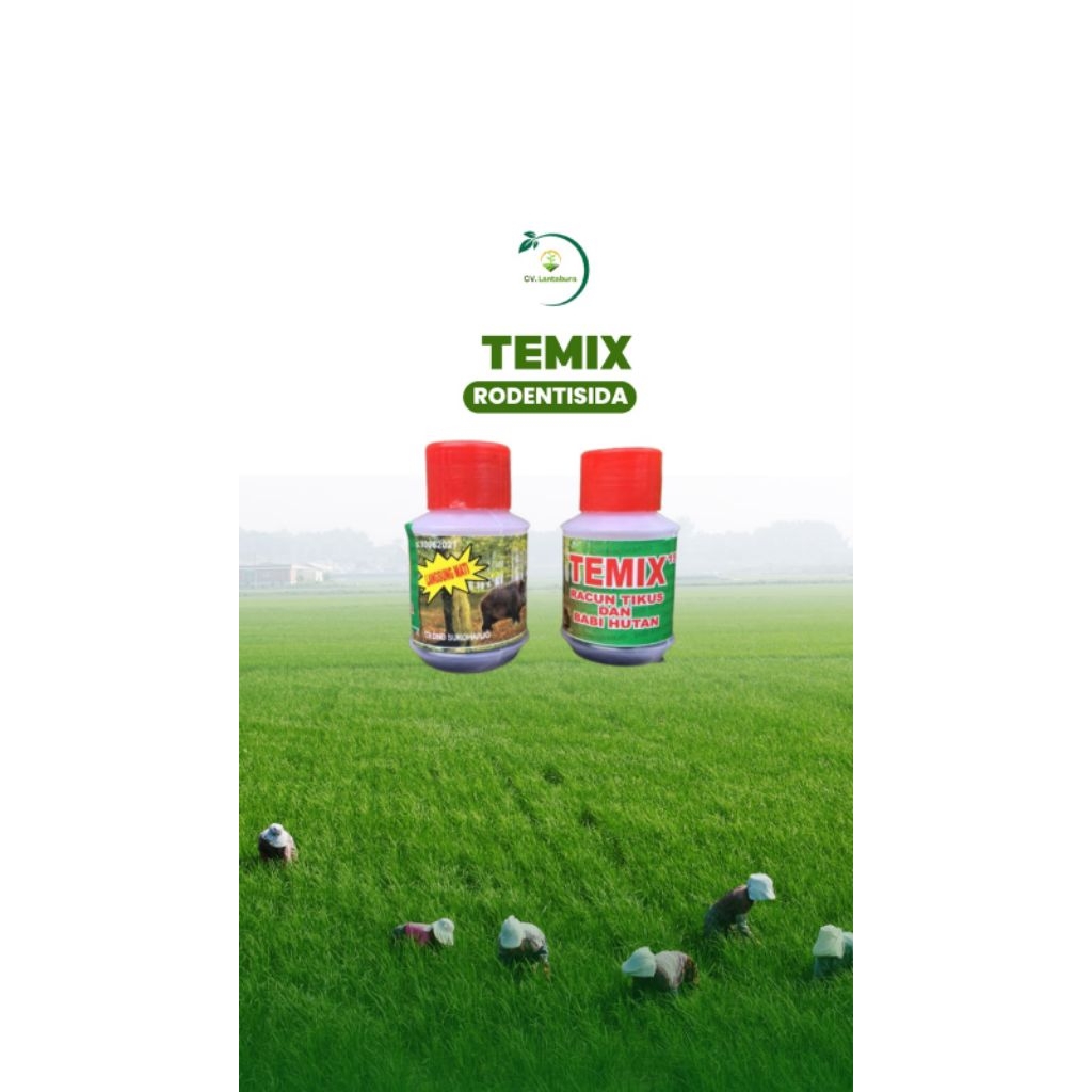 TEMIX RACUN TIKUS