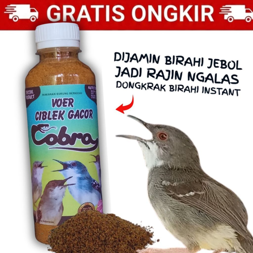 Voer Burung Ciblek Cigun Prenjak Putih