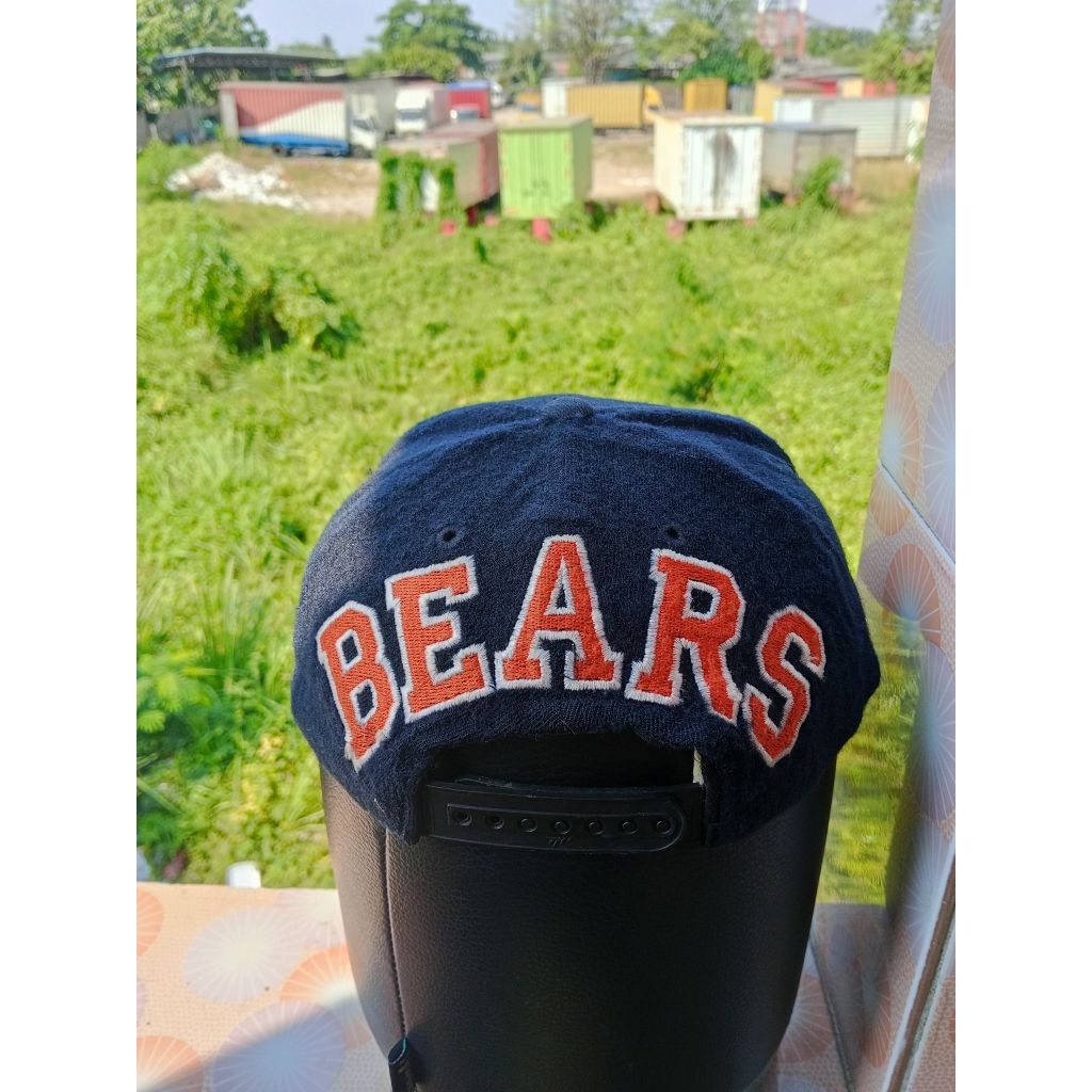 topi bears blockhead