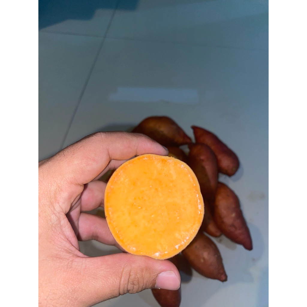 ubi madu pacet fresh