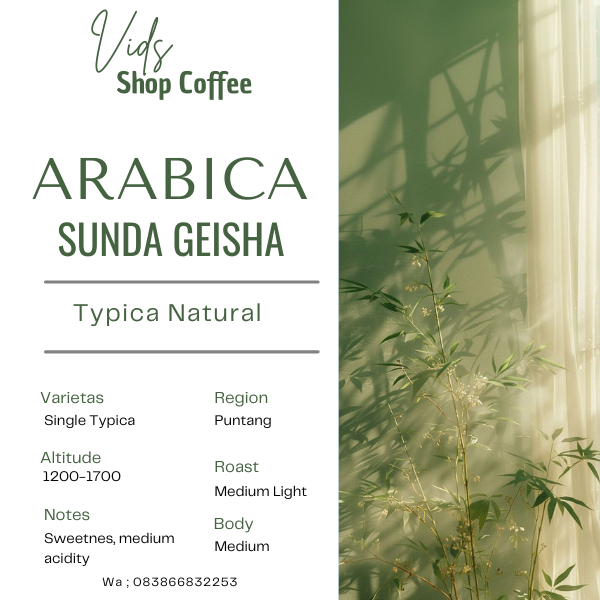 Kopi Arabika Sunda Geisha Puntang Frasa/Beans Coffe 1000 Gram