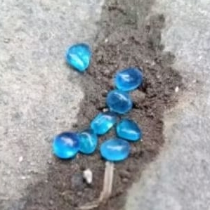 batu akik kerikil mini blue topaz aquamarine