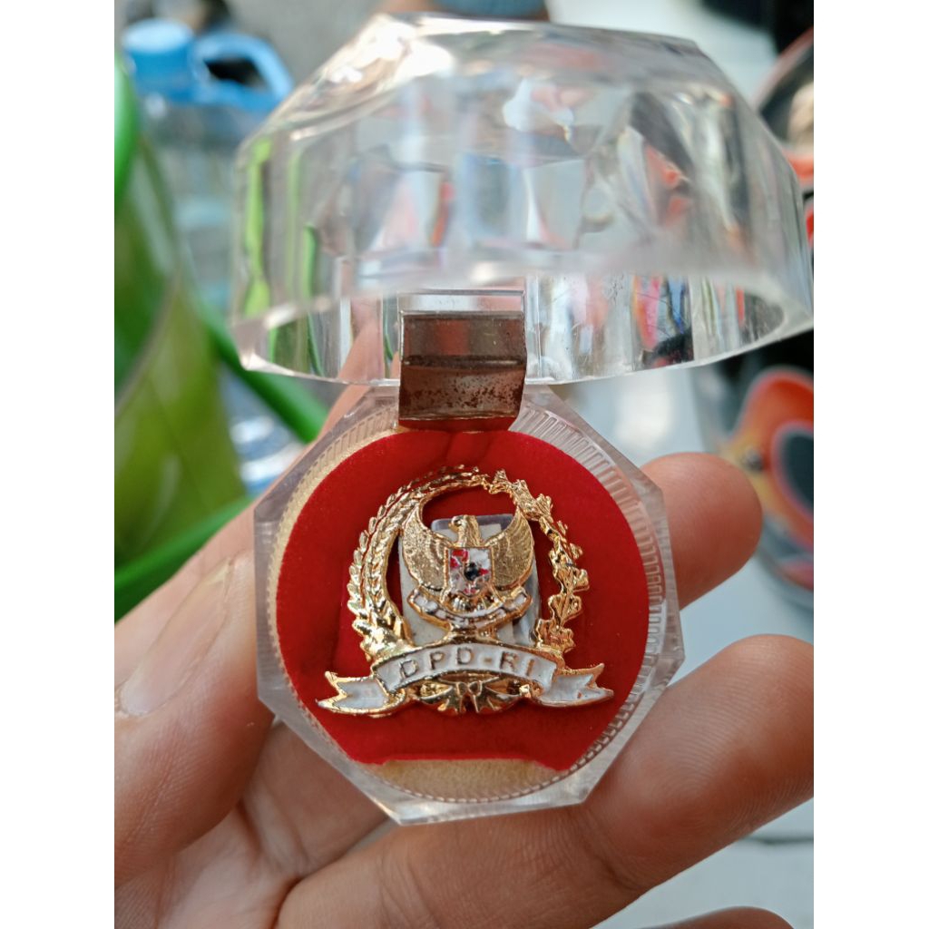 Pin DPD RI Exlusiv