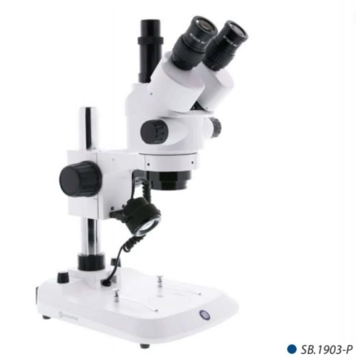 Microscope Stereo Zoom SB 1903 Euromax | Mikroskop Trinokular