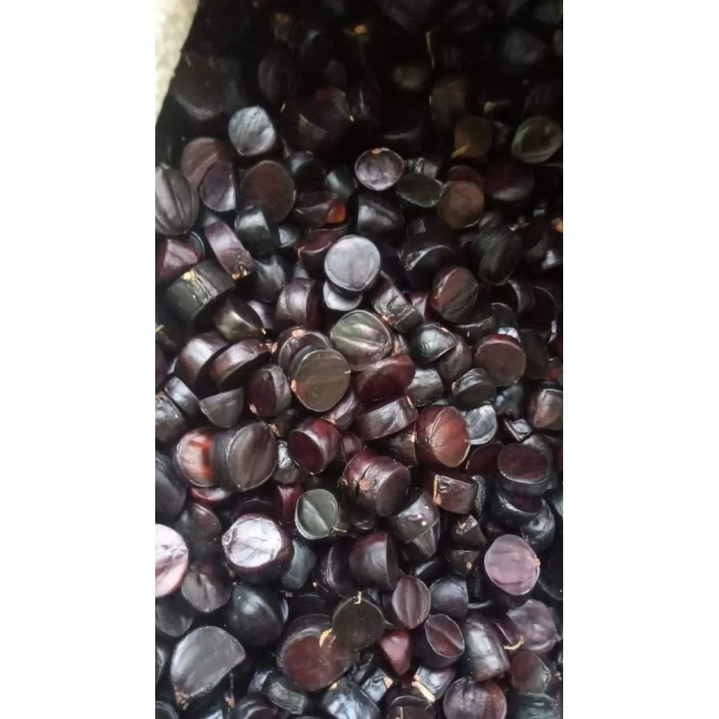 ASLI lahat Kabau kupas/kabau lahat/kabau enak/lalapan kabau/jolang jaling/obat diabetes