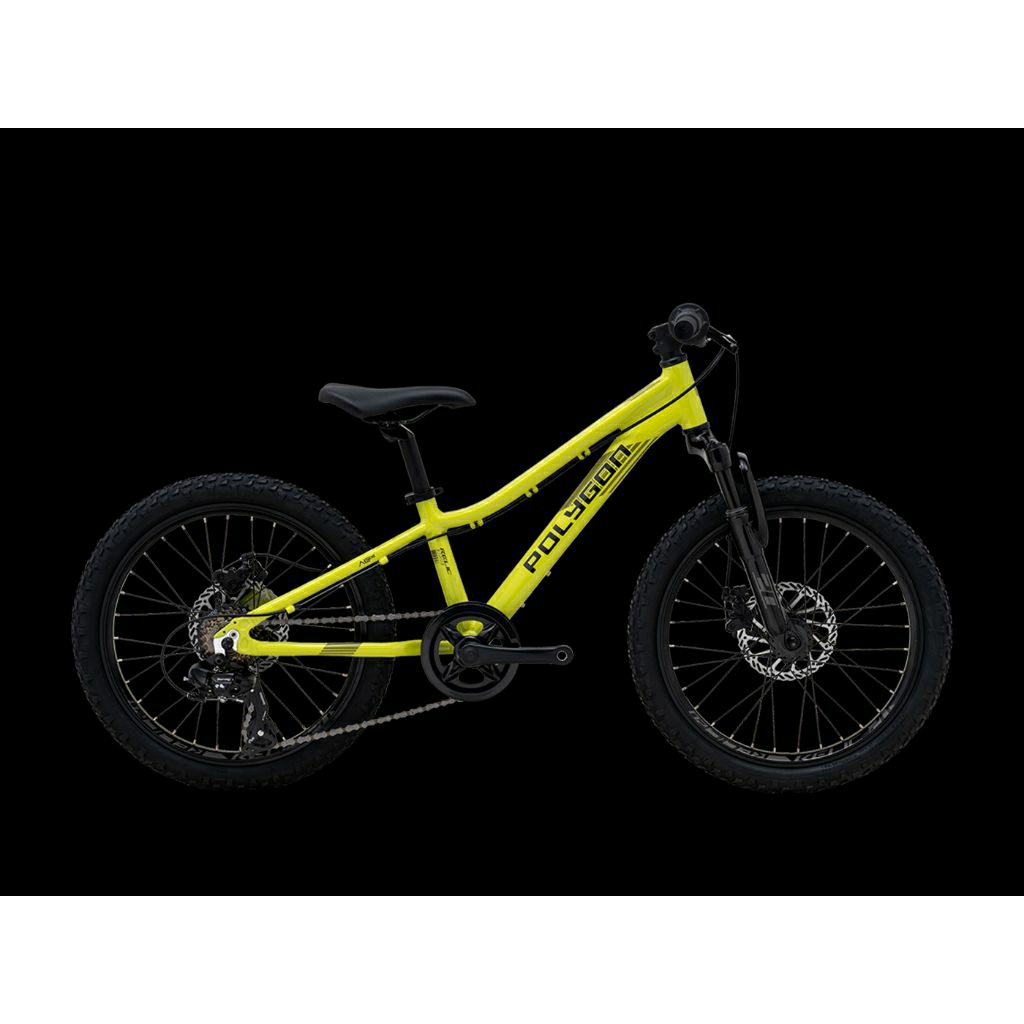 Polygon Sepeda Anak Relic 20 - Sepeda Gunung MTB Anak 20"