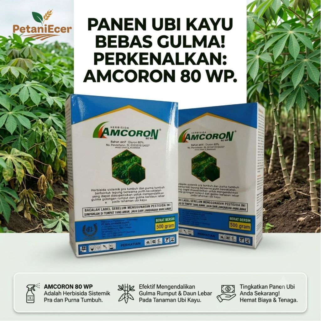 Amcoron 80 WP Herbisida Sistemik -Bahan Aktif Diuron 80 %