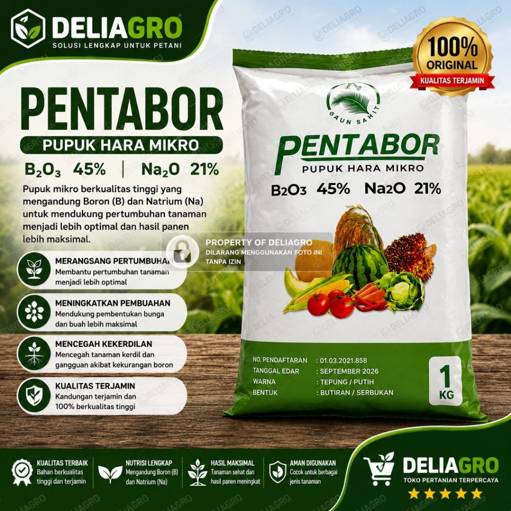 Pentabor Pupuk Hara Mikro 1 Kg Deliagro, B2O3 45%, Na2O 21%, Tepung Putih