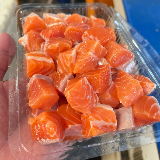 salmon dadu, salmon cube fresh