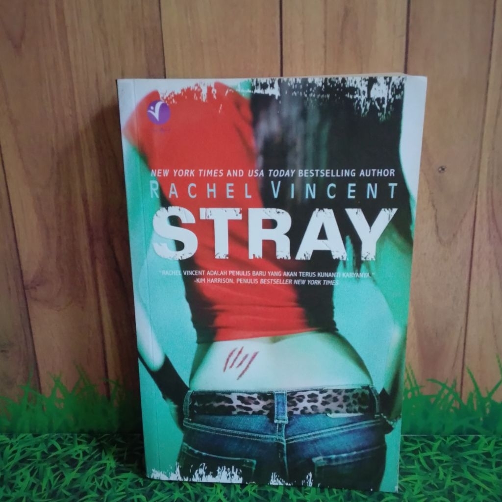 Novel Stray novel urban fantasy