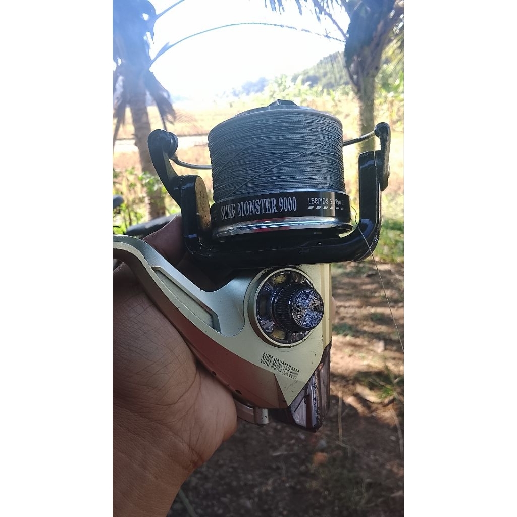 AWASHIMA RIL PANCING