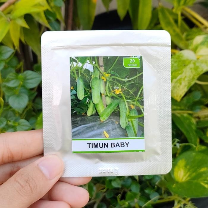 Benih Timun Baby F1 - Benih Sayuran Seribuan - PREM TIMUN BABY