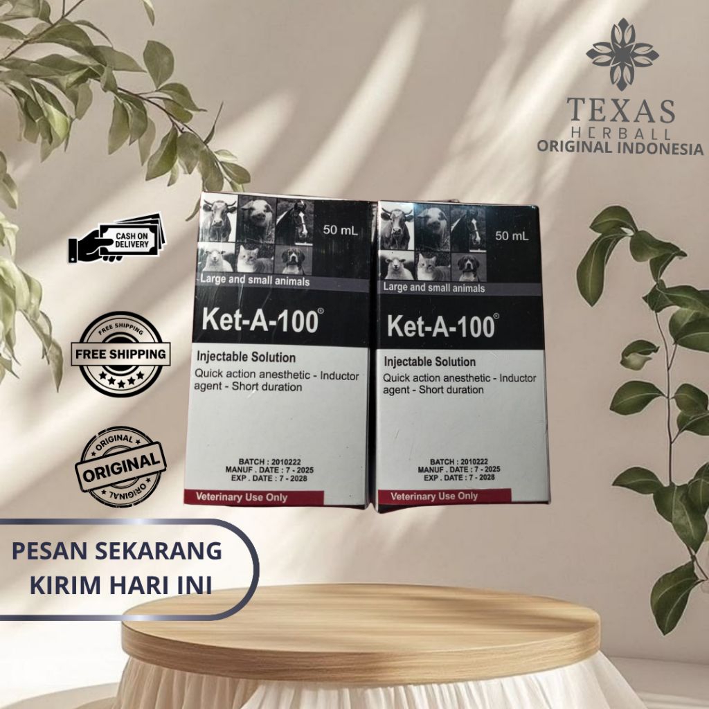 Ket-A-100 obat anestesi (bius) khusus hewan yang mengandung 100 mg ketamin per ml.