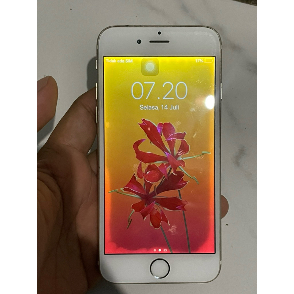 Iphone 6 Wifi Only
