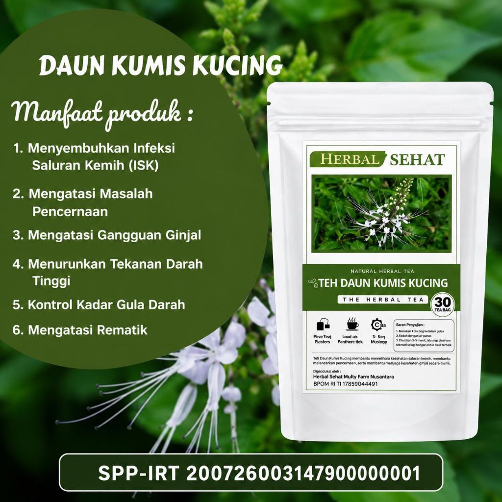 TEH DAUN KUMIS KUCING | HERBAL  BATU GINJAL. TEH KESEHATAN.