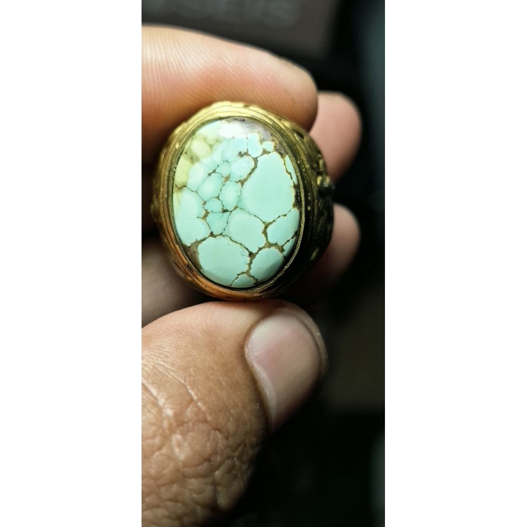 pirus persia hijau pupus lawas