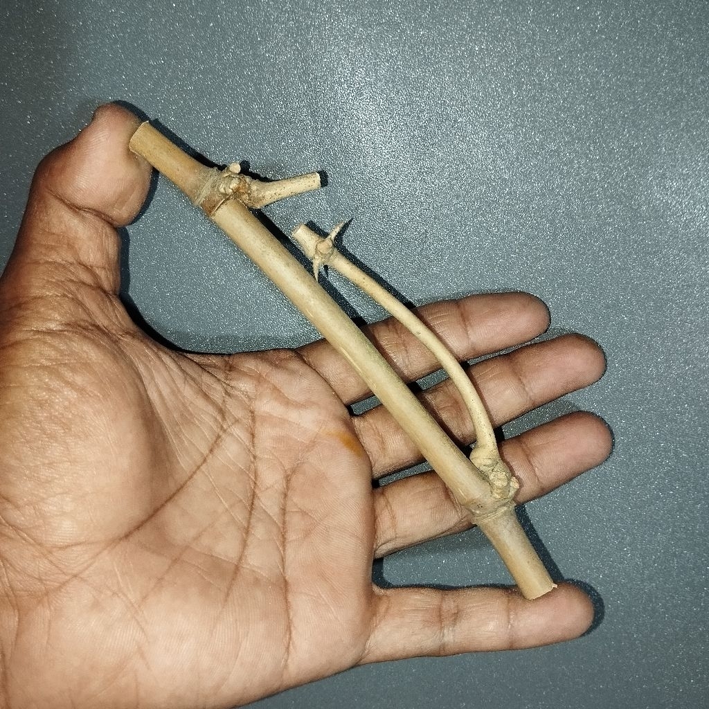 BAMBU LANGKA SAMBUNGAN