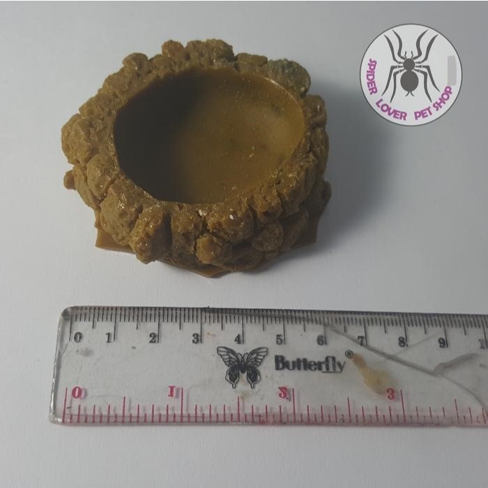 PAKET BUNDLING UNTUK PEMULA UKURAN TARANTULA JUVENILLE (TARANTULA REMAJA)