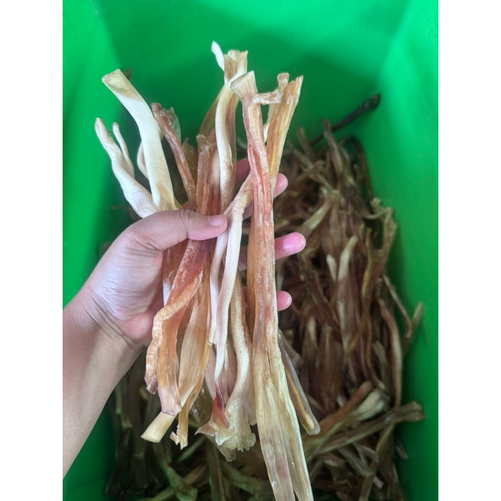 Otot kaki sapi/ Urat kaki sapi GRADE  B PROMO /Premium tendon stick/dog food otot sapi kering/air dr