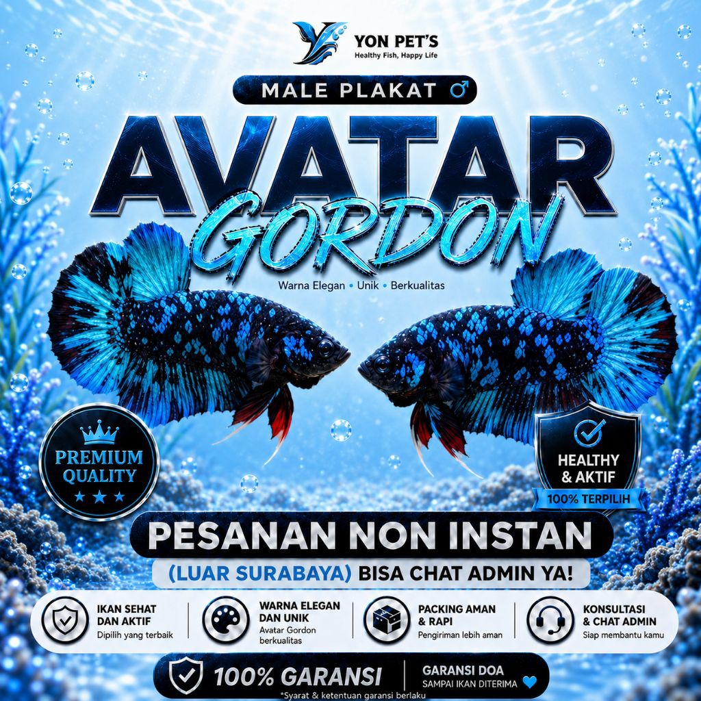 Cupang Plakat Avatar Gordon Nebula Gahar - TOP GRADE | REALPICT | NEW | BERGARANSI| MURAH | LUCU