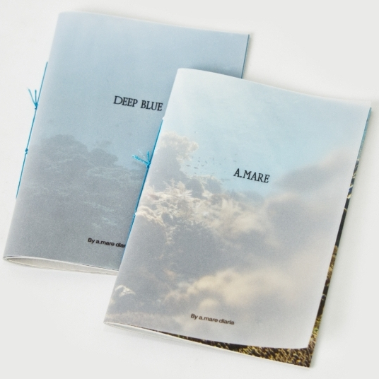 Zine amare trilogy - A6 Ocean Photography Zine