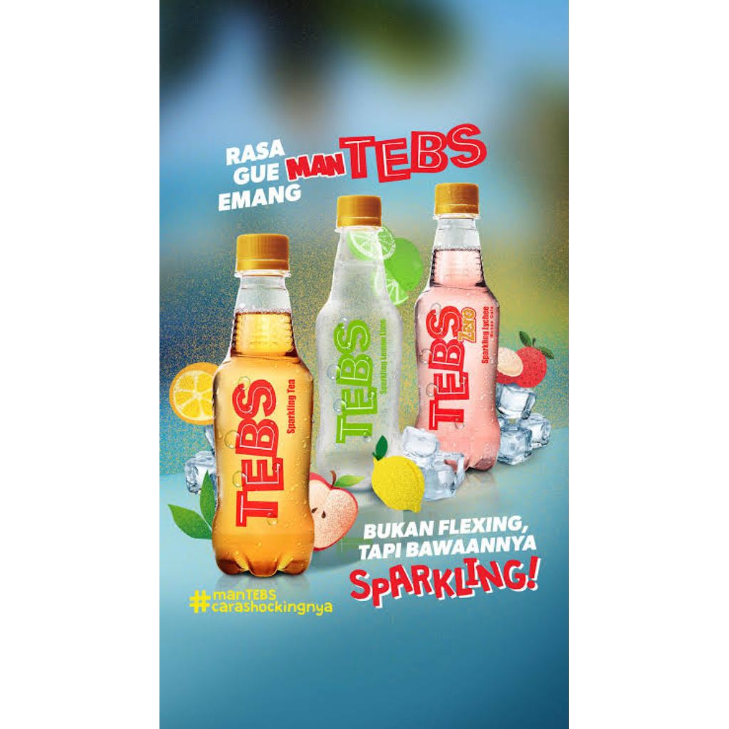 Tebs Botol 300 ml