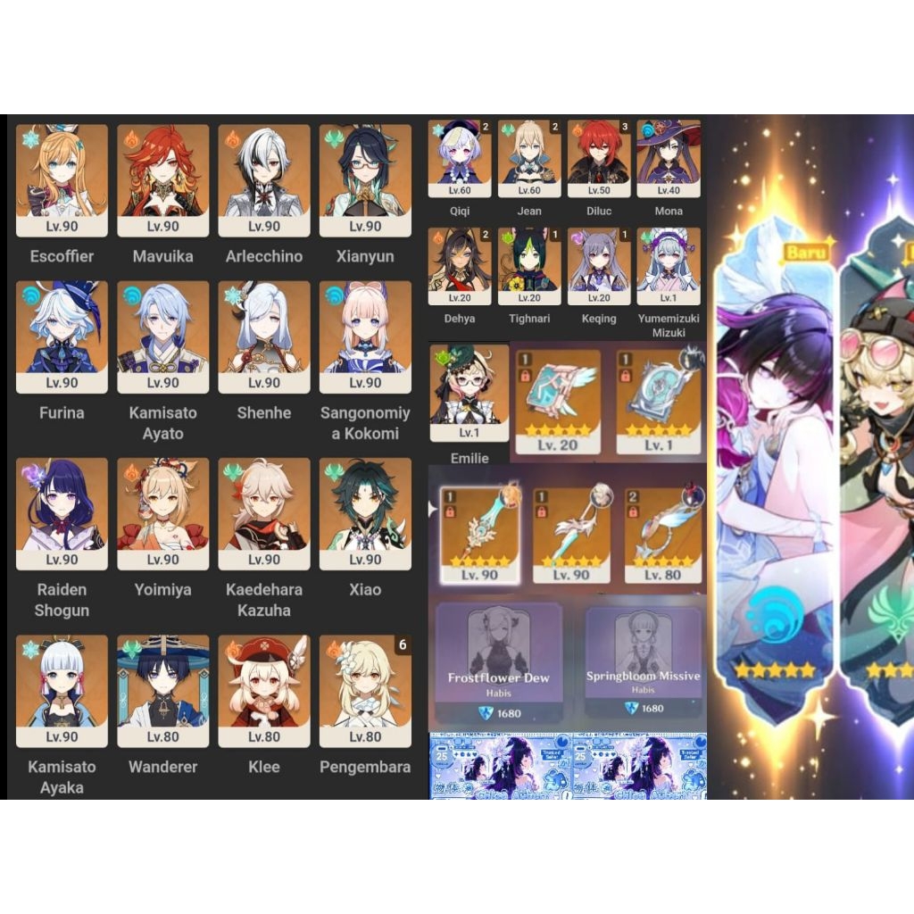AKUN GENSHIN IMPACT [17 LIMITED CHARACTER] AYAKA SKIN, SHENHE SKIN