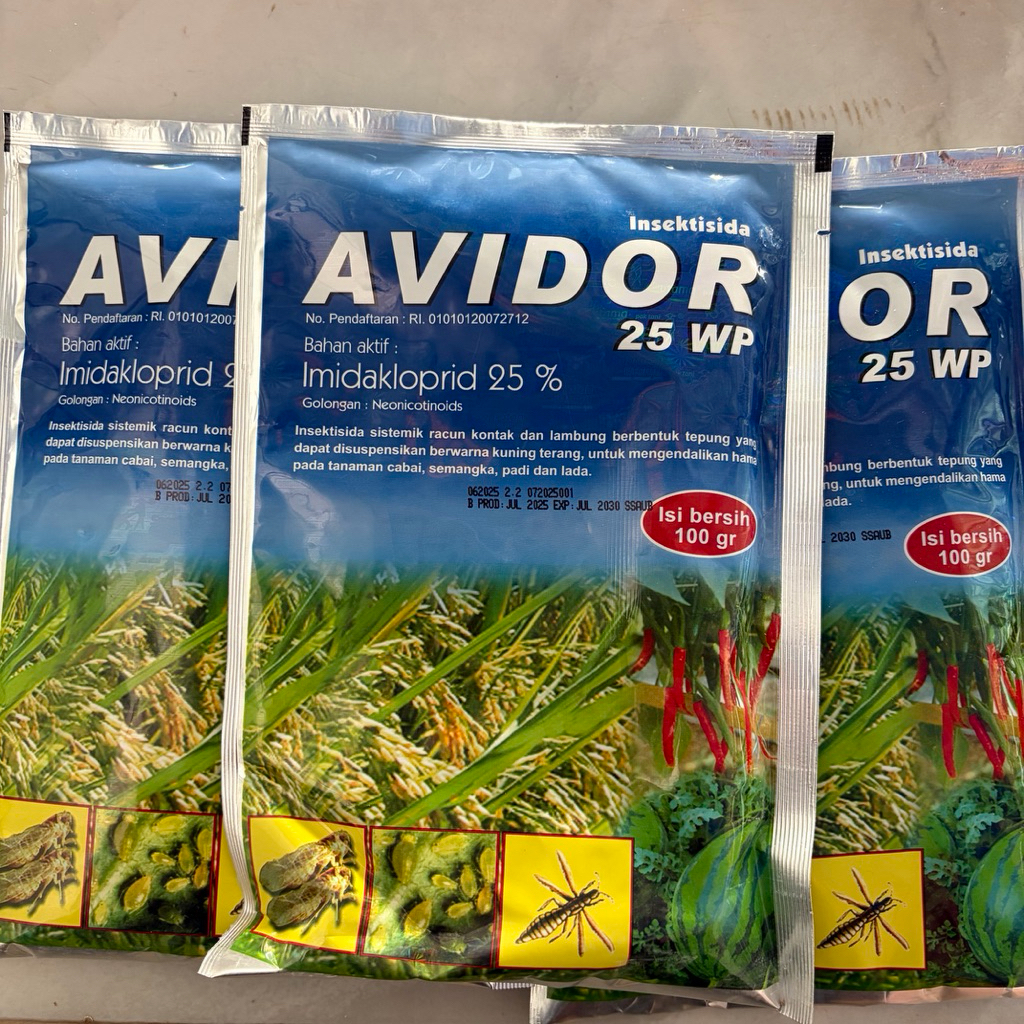 AVIDOR 25 WP