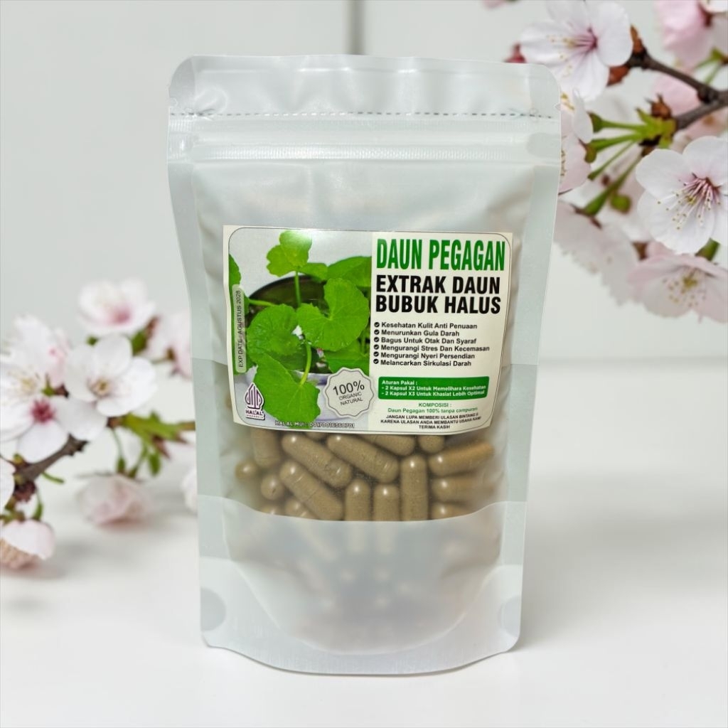 PEGAGAN kapsul herbal ekstrak daun asli